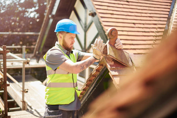 Best Roof Gutter Cleaning  in Anchor Point, AK
