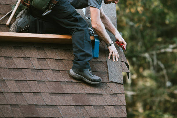 Best Roof Maintenance Services  in Anchor Point, AK